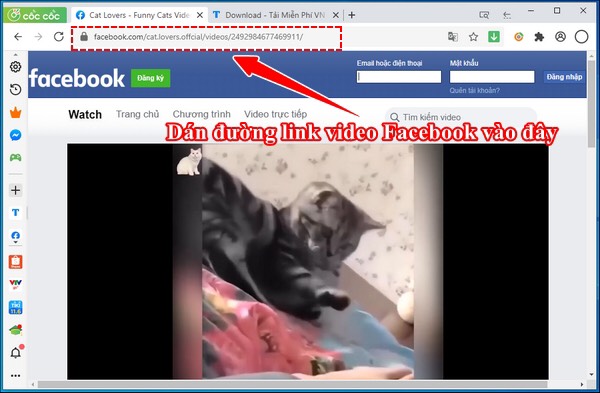 Tải video facebook