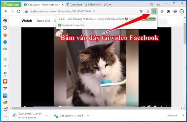 Tải video facebook