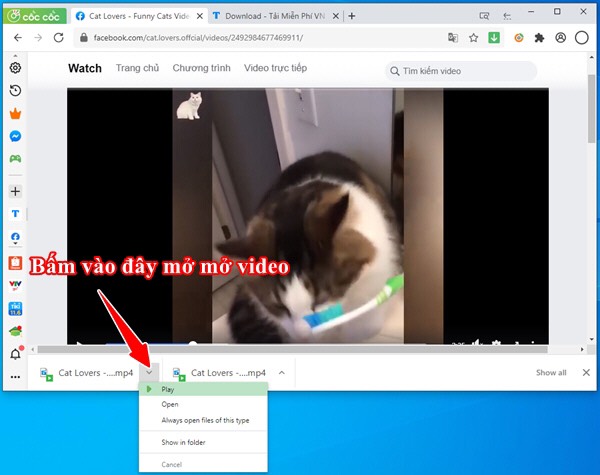 Tải video facebook