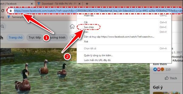 Tải video facebook