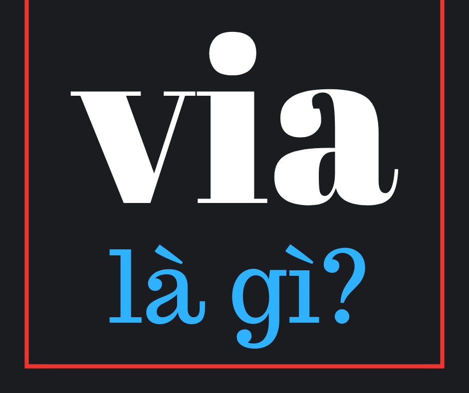 Via Facebook là gì