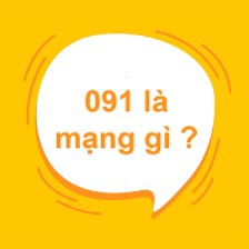 091 là mạng gì