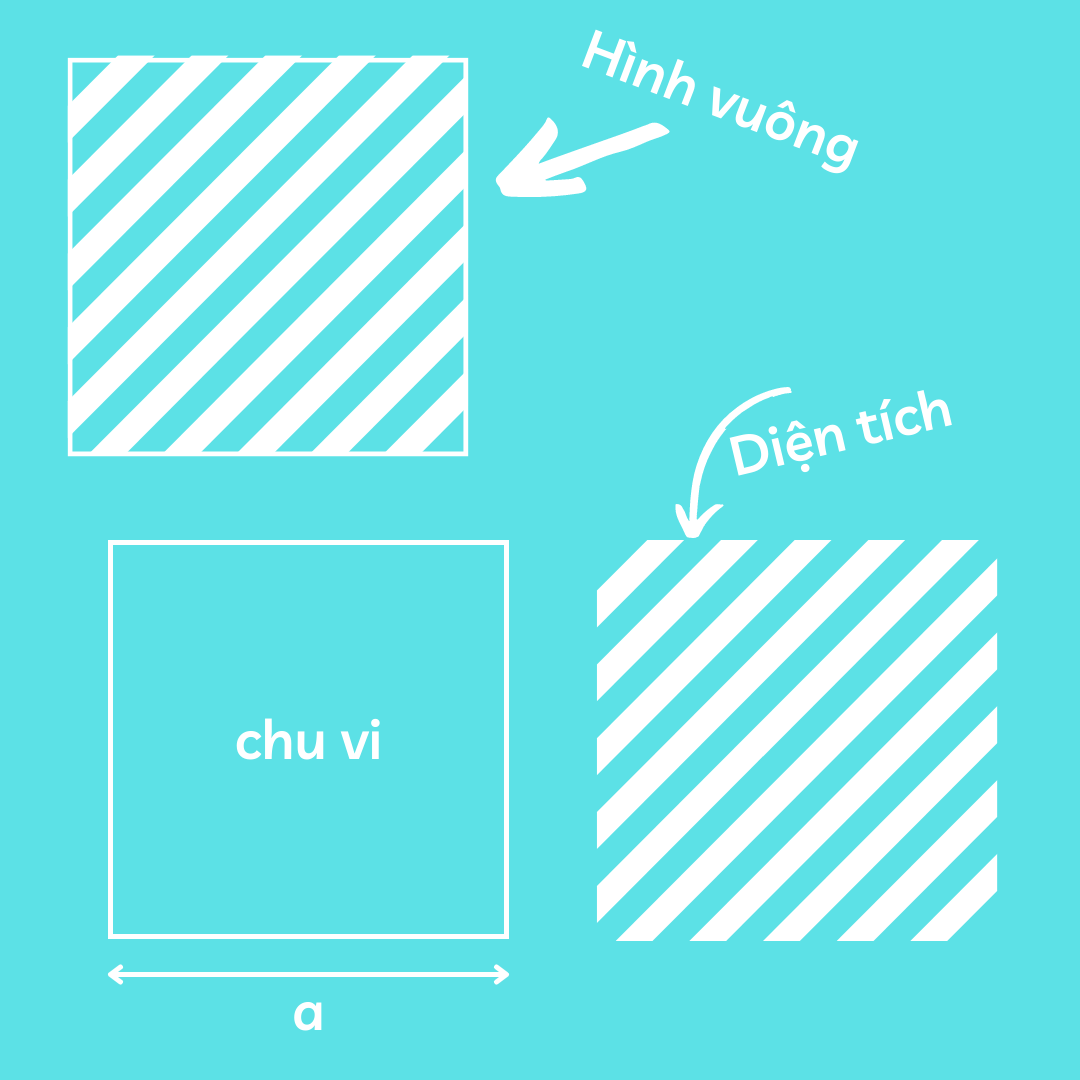Công thức tính chu vi hình vuông