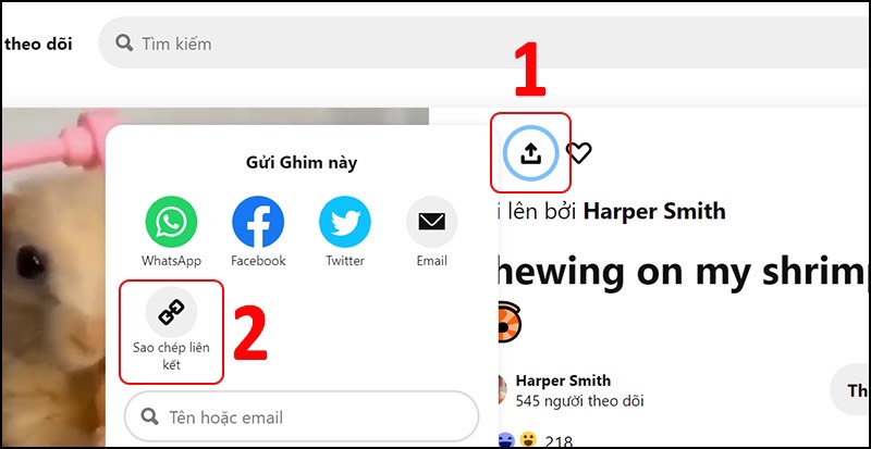 tải video trên Pinterest