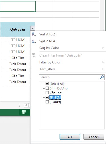 cách tạo filter trong 1 ô excel
