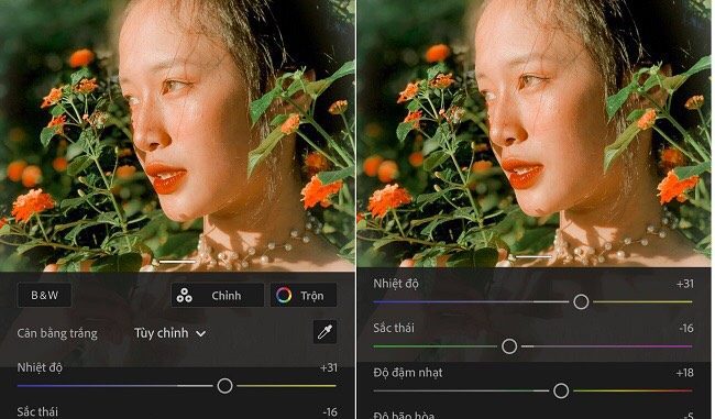 link-cong-thuc-mau-lightroom-tone 1.1