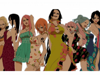 các nhân vật nữ trong one piece