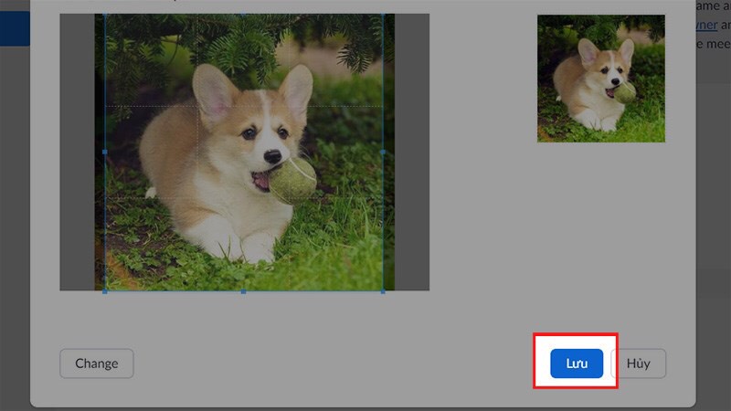 cách đổi avatar trên zoom