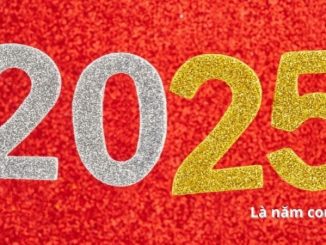 2025 là năm con gì