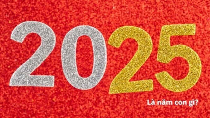 2025-la-nam-con-gi4 2025 là năm con gì