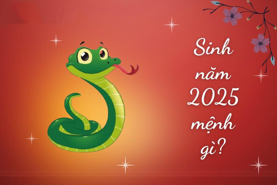 2025 là năm con gì