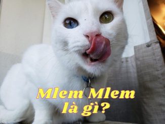 Mlem mlem là gì