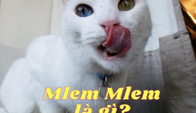 mlem-mlem-la-gi Mlem mlem là gì