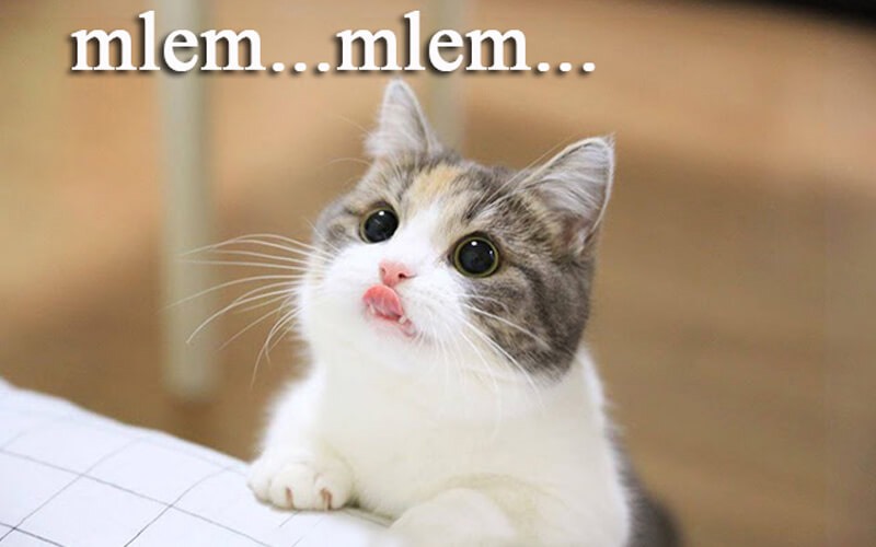 Mlem mlem là gì