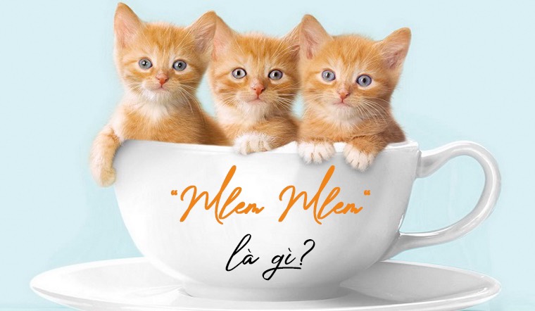 Mlem mlem là gì